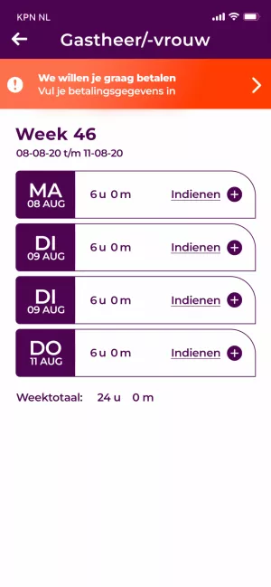 hollandada calismak